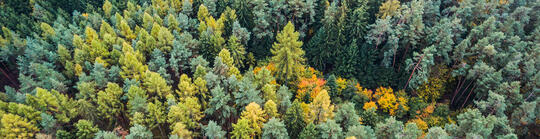 Démarche environnementale